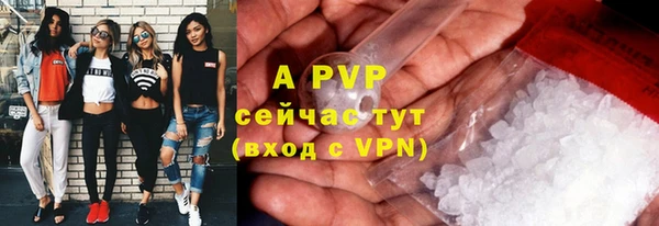 гидра Зеленодольск