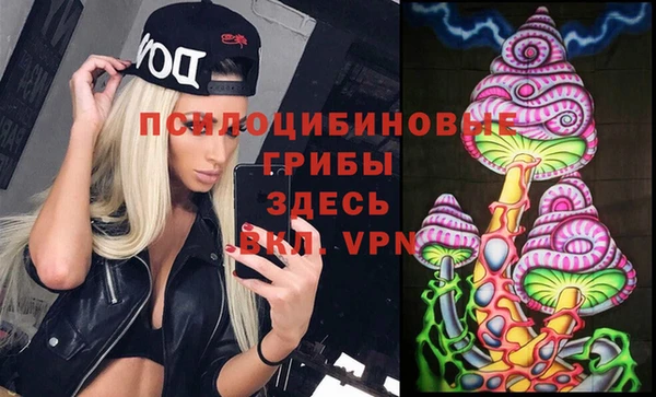 гидра Зеленодольск