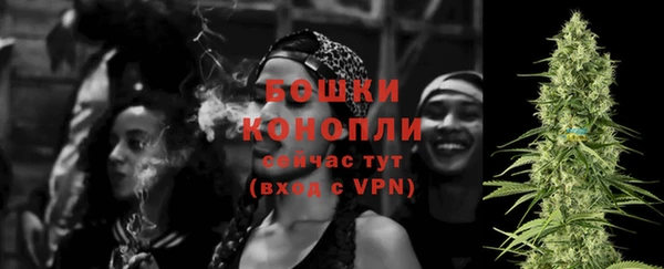 гидра Зеленодольск