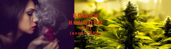 ECSTASY Шадринск