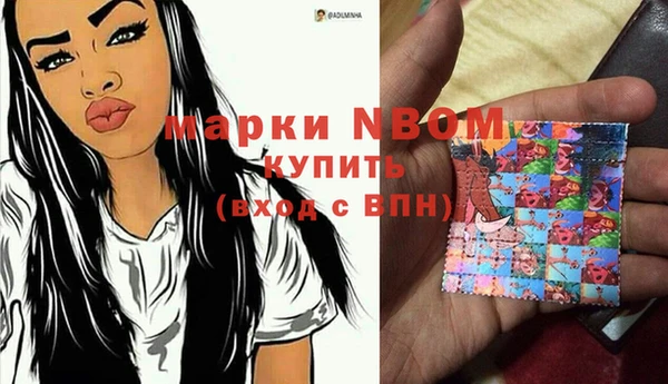 гидра Зеленодольск
