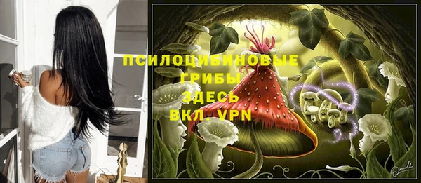 гидра Зеленодольск